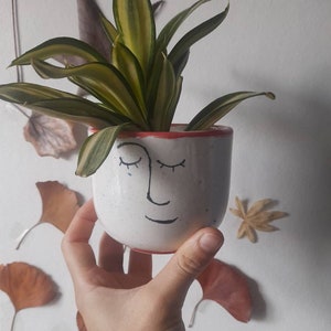 May include: White ceramic planter with a hand-painted face, featuring closed eyes, a nose, and a smiling mouth. The planter has a red rim and is holding a green and yellow snake plant.