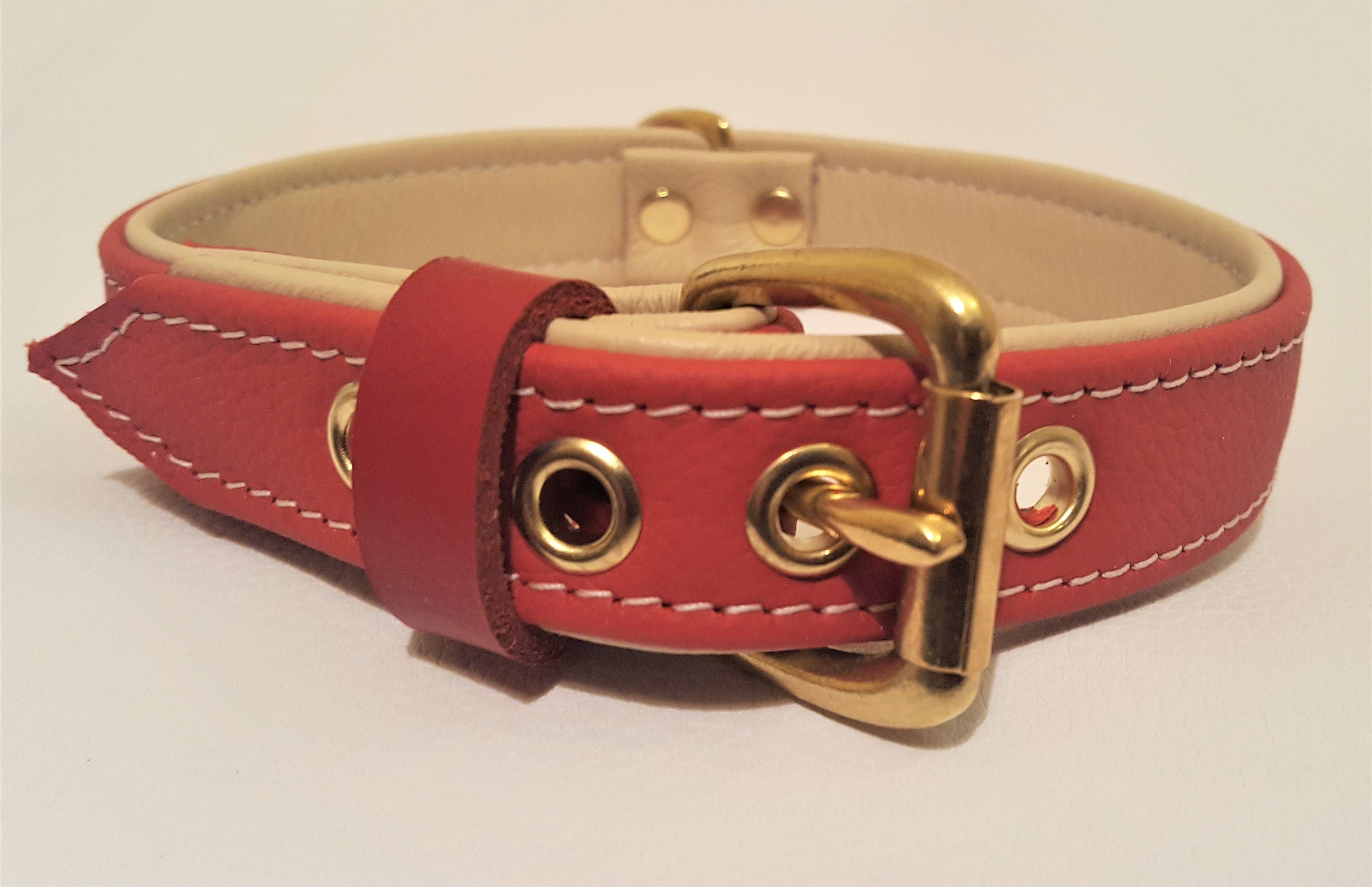 red leather dog collar