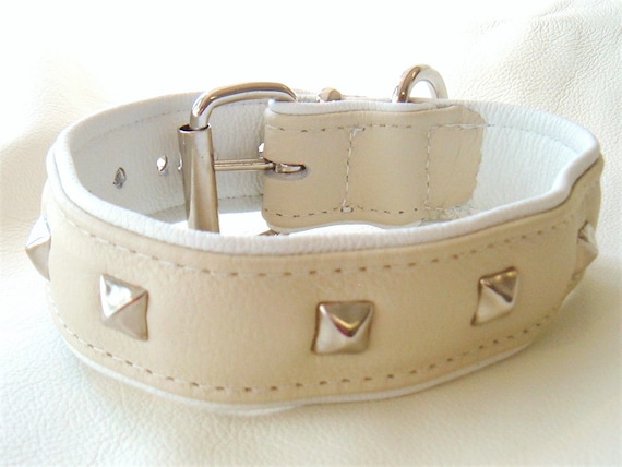cream dog collar