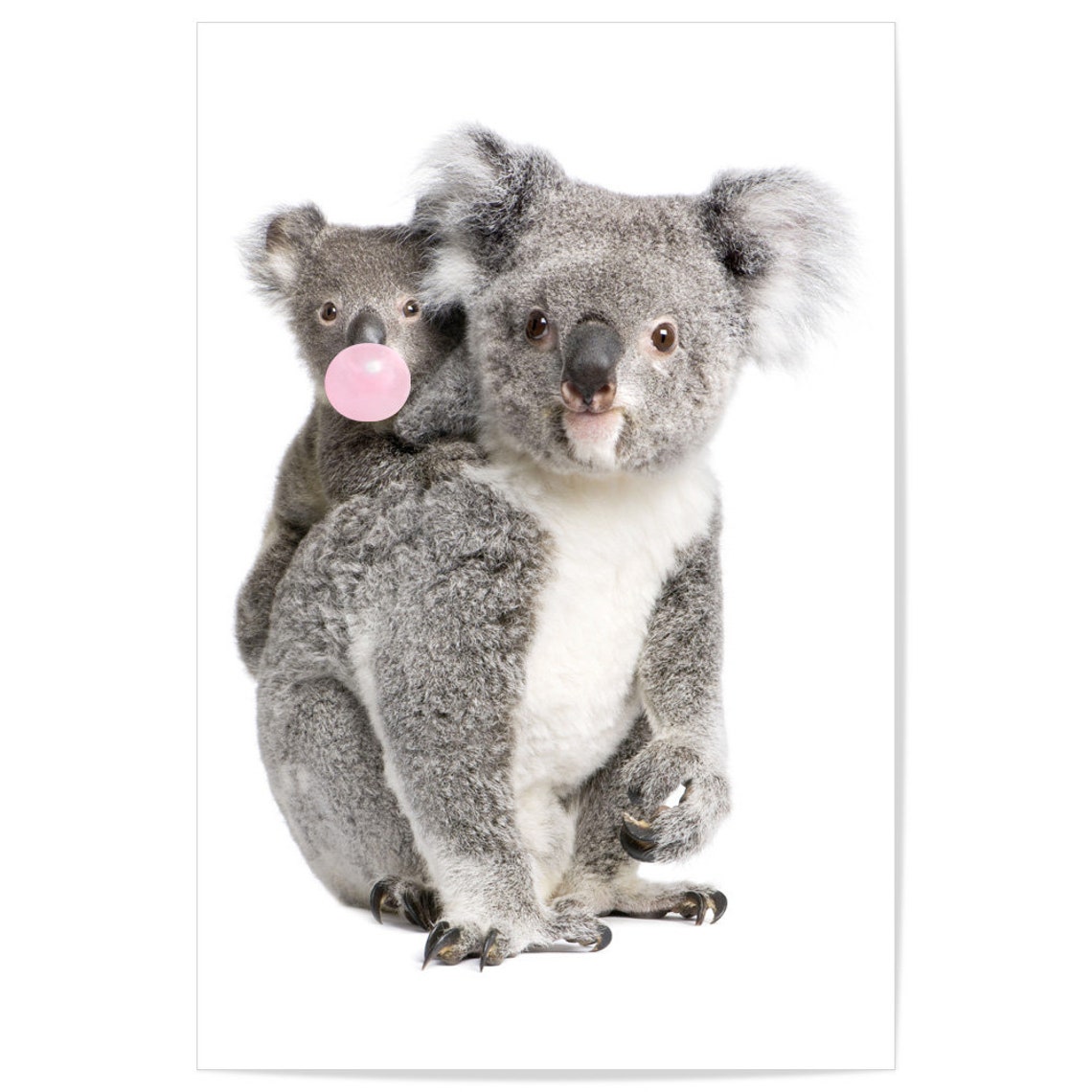 Koala Bear Print Baby Animal Art Woodlands Nursery Wall Etsy