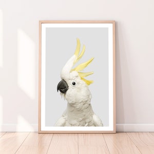 May include: A white cockatoo with a yellow crest, looking to the left, against a light gray background.