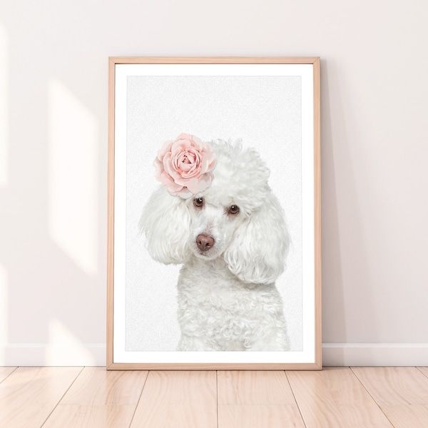 Poodle Poster - Etsy