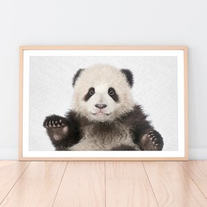 Panda Print, Bear Cub Art, Nursery Wall Decor, Baby Animal Poster, Digital Download, Black and White Photo, Baby Gift