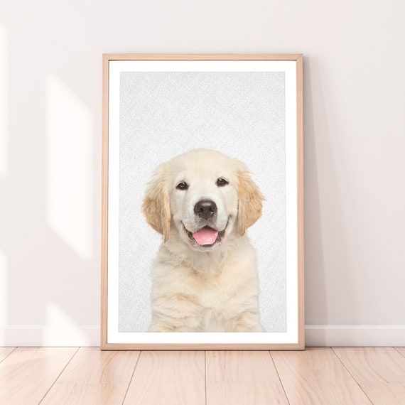 Impresion Del Perro Golden Retriever Decoracion De La Pared Etsy