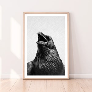 May include: Black and white photograph of a raven with its beak open, looking up. The raven is in focus, while the background is blurred.