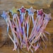 see more listings in the WANDS section
