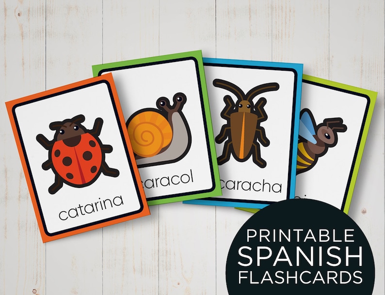 May include: Four colorful flashcards with illustrations of a ladybug, snail, cockroach, and bee. Each card has the Spanish word for the insect written below the image. The words are "catarina", "caracol", "cucaracha", and "abeja".