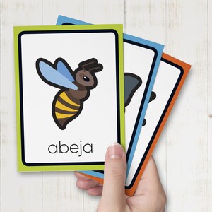 May include: Three colorful flash cards with illustrations and Spanish words. The first card is green and features a cartoon bee with the word "abeja" below it.