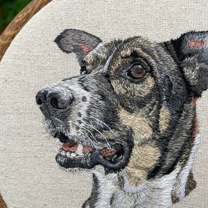 pet portrait, embroidery pet portrait, embroidery portrait, hand embroidery, pet painting, pet loss, family pet