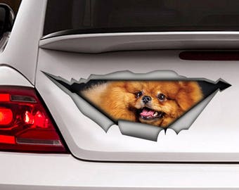 I LOVE MY POMERANIAN 8/" AS636 car sticker decal ThatLilCabin