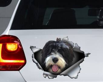 stuffed bernedoodle