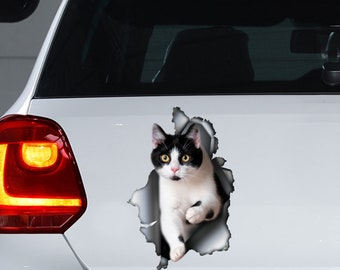 May include: A black and white cat peeks out of a torn hole in a white car. The cat is looking directly at the camera with its mouth closed. The car is a hatchback with a rear window and a rear bumper.