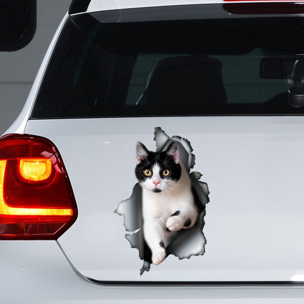 Tuxedo Katze Aufkleber, Tuxedo Katze Magnet, Tuxedo Katze Aufkleber, Tuxedo Katze Auto Aufkleber