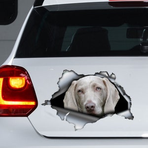 Gray weimaraner car decal , weimaraner magnet, car sticker , weimaraner sticker