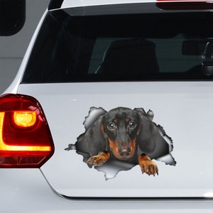 Dachshund car decal,  Dachshund sticker, pet decal, Dachshund magnet, fridge magnet