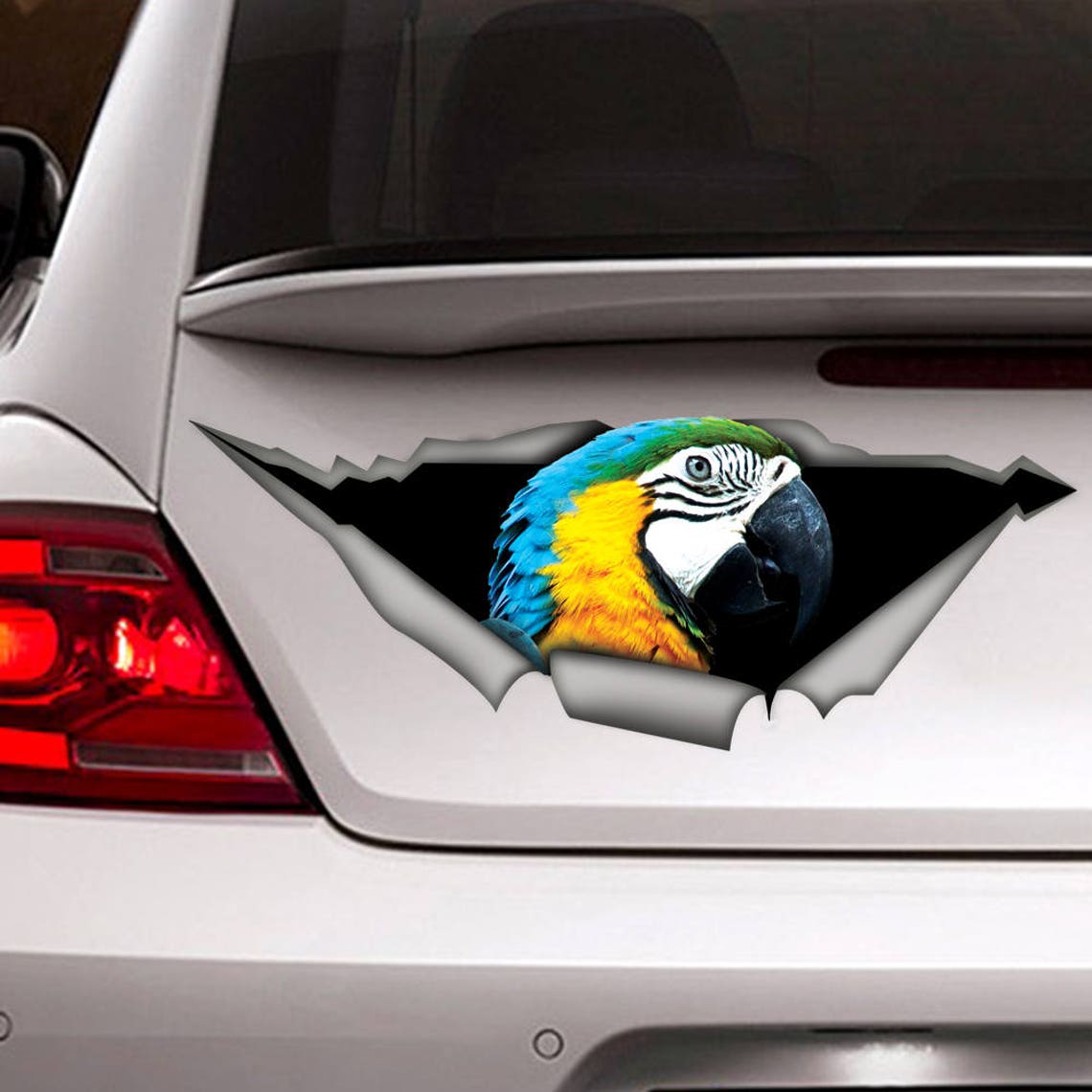 Yellow and blue macaw car decal bird car decal parrot | Etsy