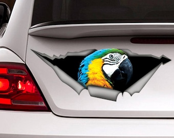 Yellow and blue macaw car decal, macaw magnet, parrot car decal,  parrot sticker