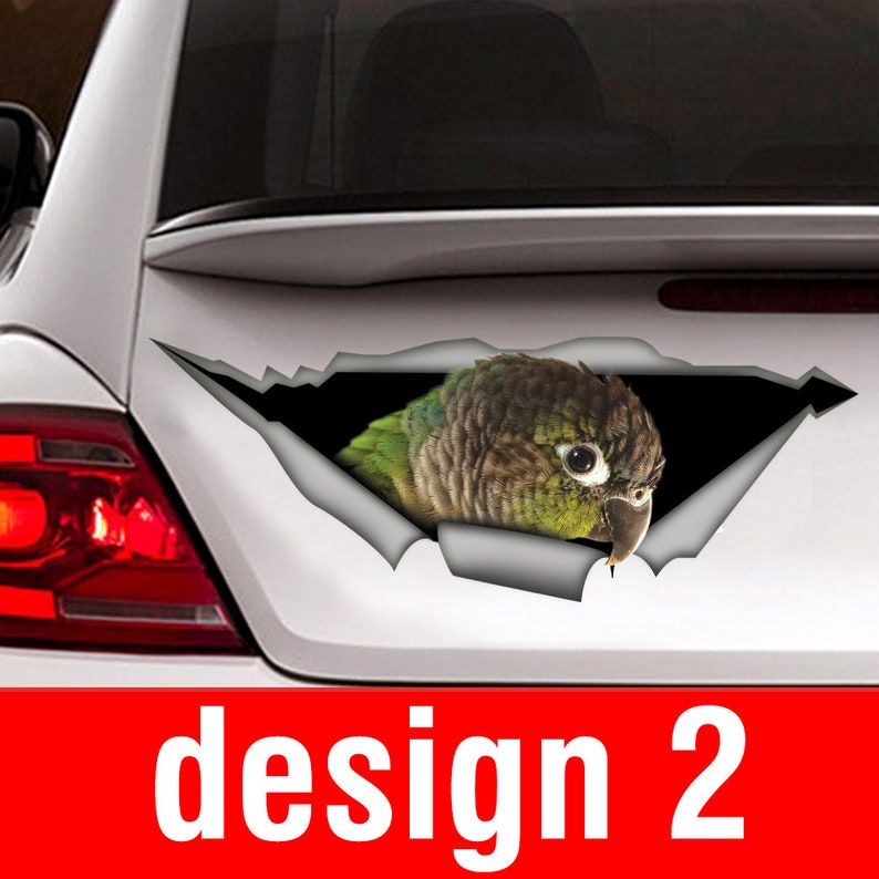 May include: A green and brown parrot peeking out of a ripped car window decal. The decal is designed to look like the parrot is breaking through the window.