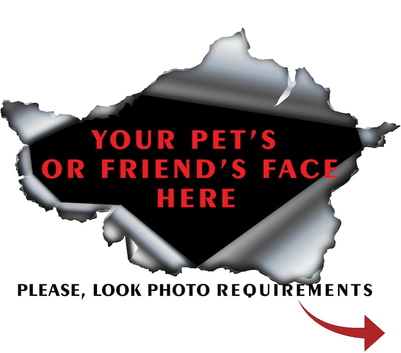 Custom design, custom pet decal, custom sticker, custom magnet image 2