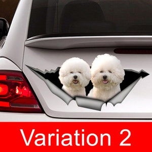 May include: A white car decal featuring two fluffy white dogs peeking through a torn section. The dogs have their tongues out. The text "Variation 2" is in a red banner at the bottom.