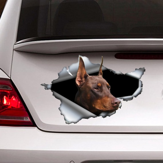 Braundobermann Auto Aufkleber, Doberman Aufkleber, Dobermann