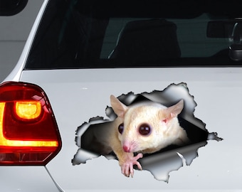 Calcomanía de coche White Sugar Glider, imán Albino Sugar Glider, pegatina blanca de Sugar Glider