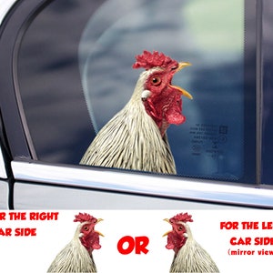 STICKER, chicken  window sticker, car sticker, chicken car decal, funny sticker