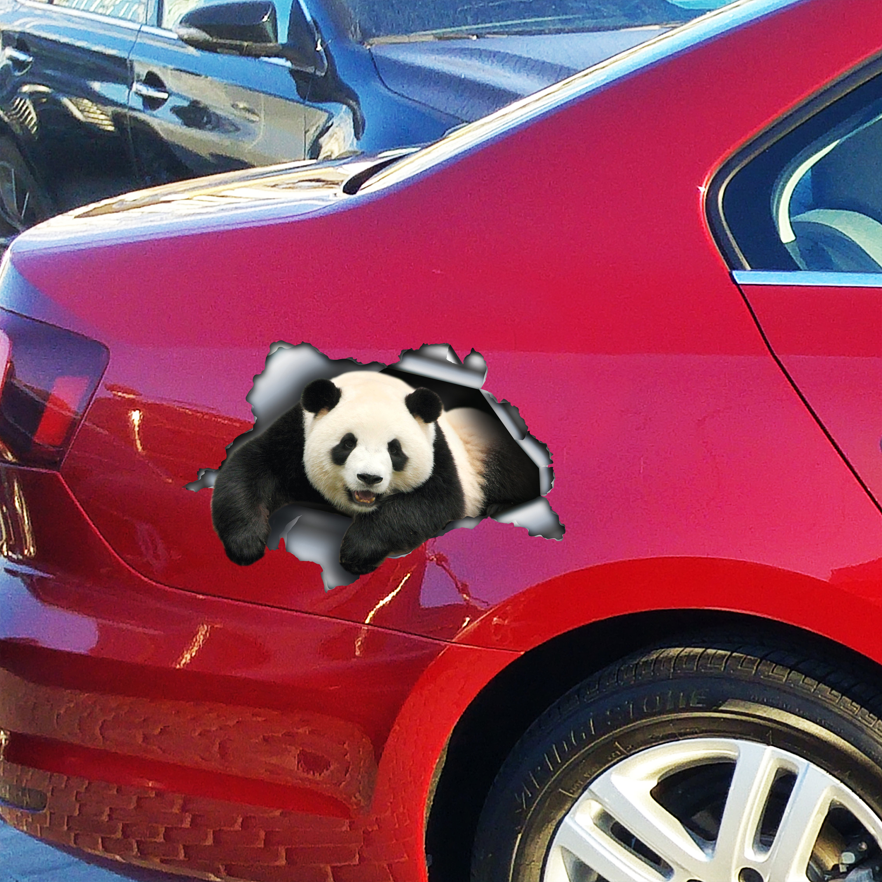 Panda Car Decal, Panda Magnet, Panda Sticker, Funny Panda Decal - Etsy