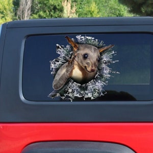 Possum window decal,  Possum car sticker, Possum car decal
