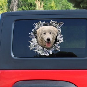 Decalque para janela de cão pastor Maremma-Abruzzi, adesivo para cão pastor Maremma-Abruzzi, decalque para carro cão pastor Maremma