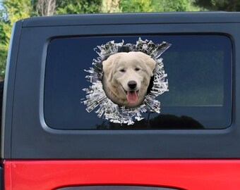 Adesivo per finestrino auto con scritta Pastore olandese a bordo - Regalo per cane pastore olandese - V02