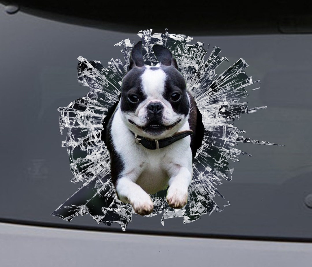 STICKER Boston Terrier Window Sticker Car Sticker Pet Car - Etsy