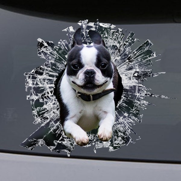 STICKER, boston terrier  window sticker, car sticker, pet car decal, funny sticker