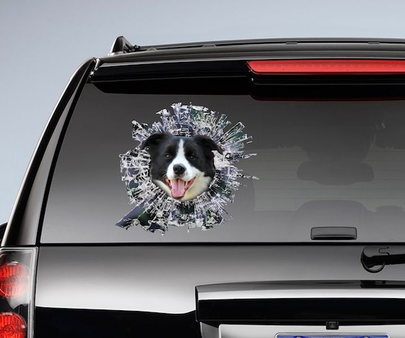border collie car decal