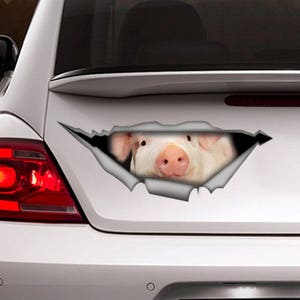 Pig sticker,  car decal, Pig magnet, car decoration, Pig decal, animal decal