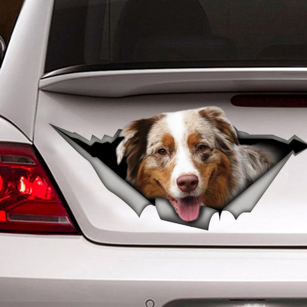 Australian Shepherd Mix car decal,  Aussie magnet , custom decal, Australian shepherd