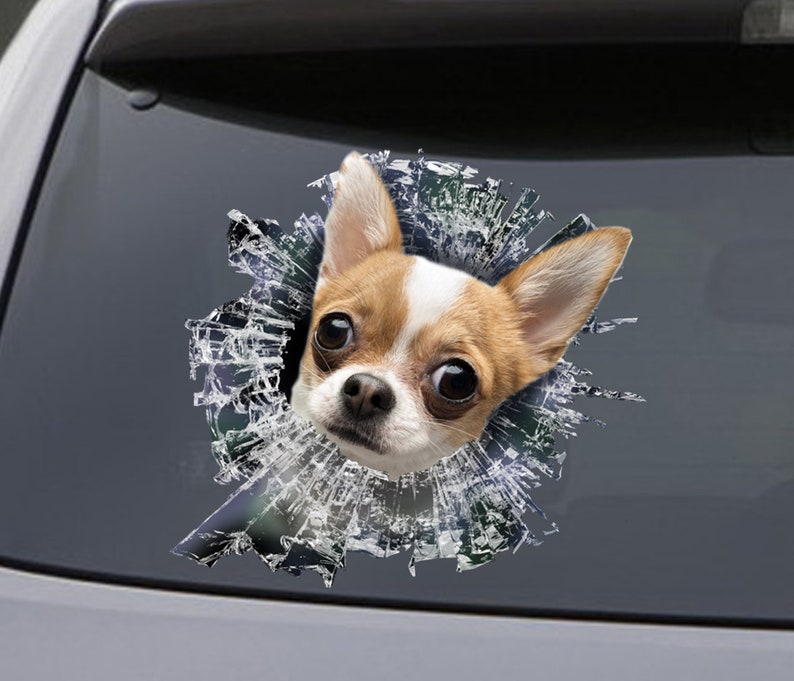 STICKER Chihuahua Window Sticker Car Sticker Chihuahua Car Etsy