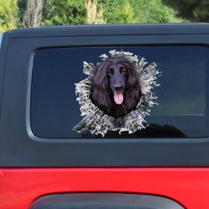 Adesivo per finestrini Afghan Hound nero, adesivo Afghan Hound, decalcomania per auto Afghan Hound