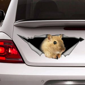 Mouse decal,  car decal, Vinyl decal, car decoration, animal decal, pet decal, 3D decal