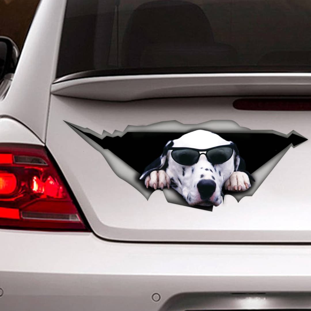 Dalmatian Car Decal Pet Decal Dog Decal Vinyl Decal Car Etsy
