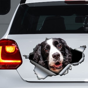 Springer Spaniel Autoaufkleber, Spaniel Magnet, Springer Spaniel Sticker, Spaniel Aufkleber