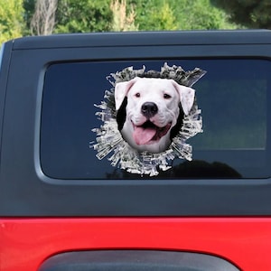 Decalque de janela Dogo Argentino, adesivo Dogo Argentino, decalque de carro Dogo Argentino