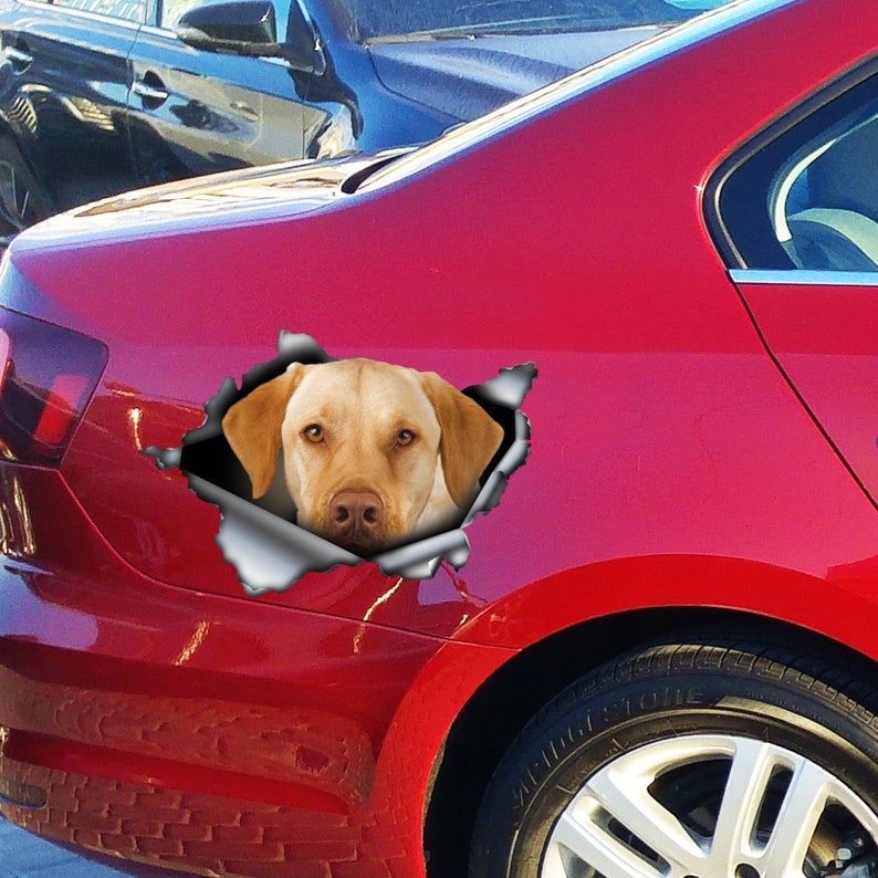 Yellow lab car decal labrador car sticker pet decal Etsy