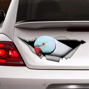 Blue ringneck sticker ,Blue ringneck magnet, parrot decal, Laptop Decal, 3D sticker