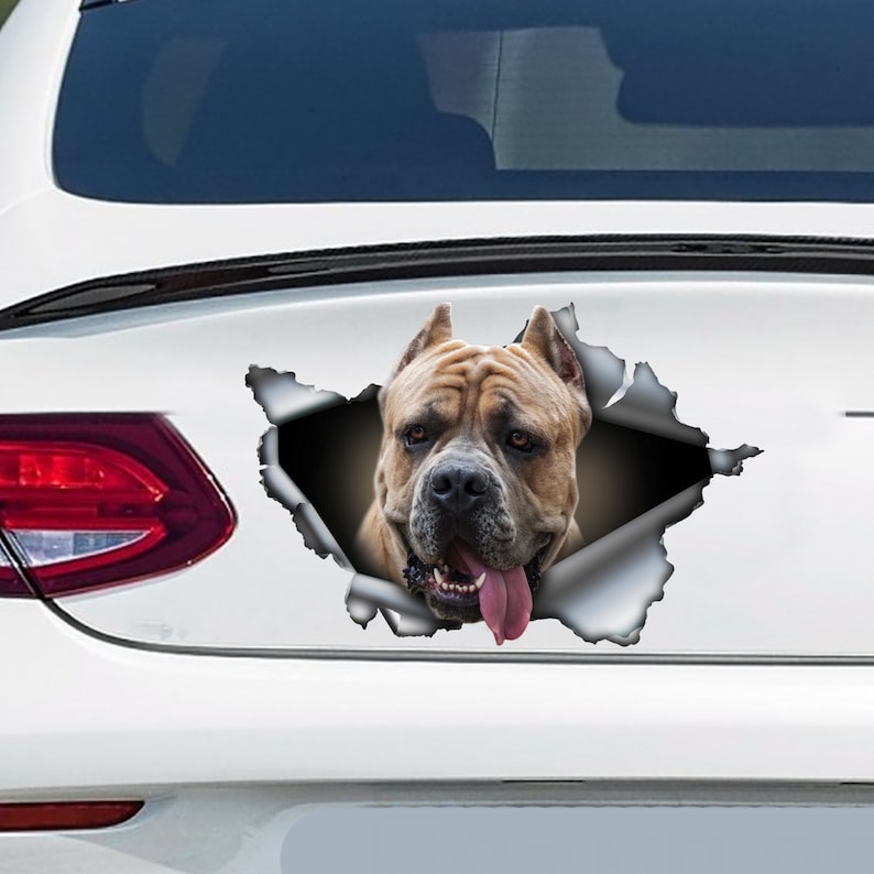 Fawn Cane Corso car decal Cane Corso car sticker pet decal Etsy