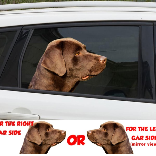 Chocolate Lab Decal Etsy