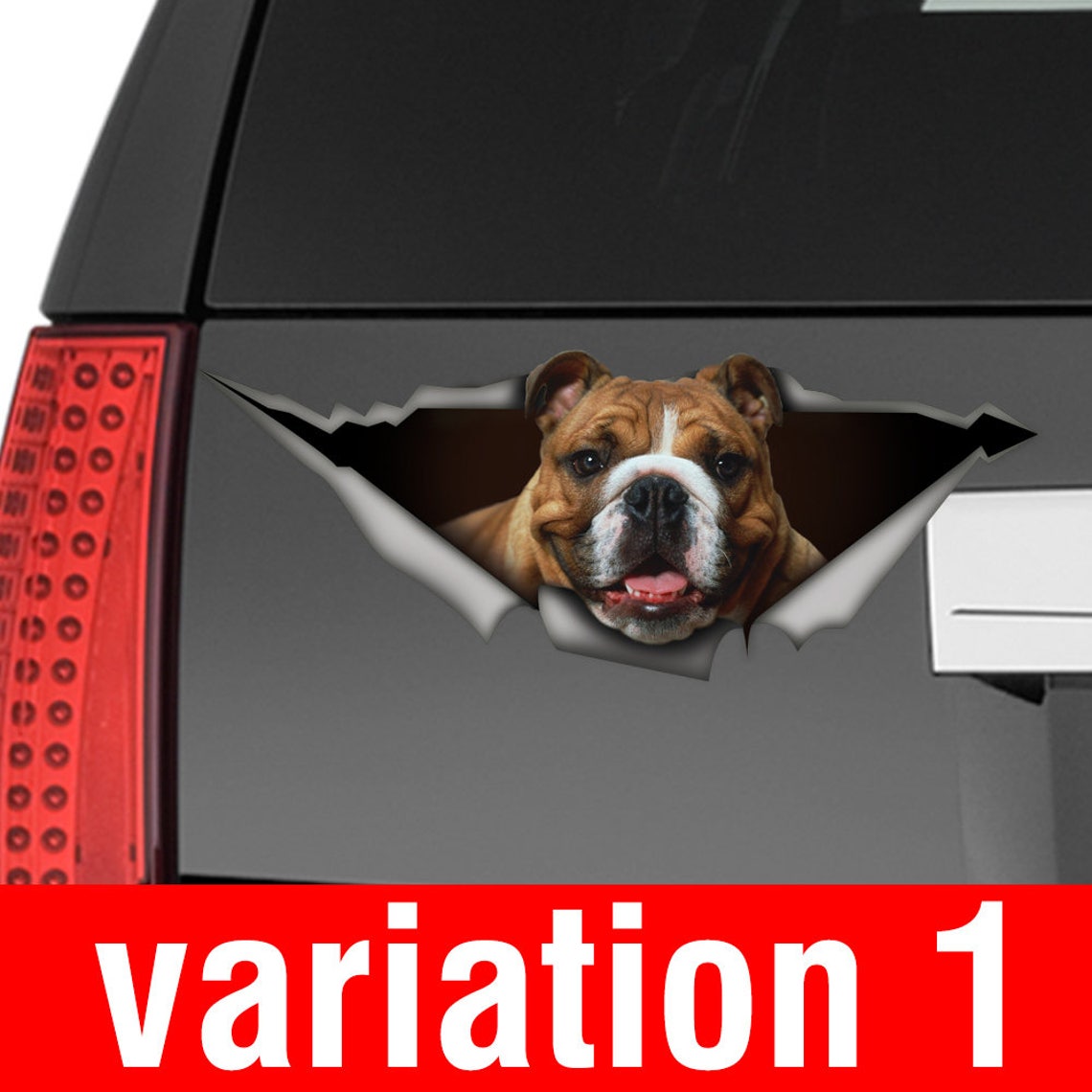 Bulldog Head - English American Car Auto Window Vinyl Decal