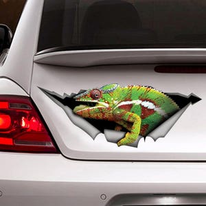 DECAL / Funny  Chameleon car  decal, reptile  decal,  chameleon  sticker