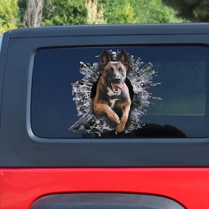 Malinois dog window decal, belgian malinois car sticker, pet car decal