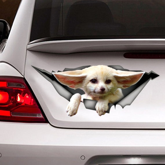 STICKER Fennec renard autocollant de voiture autocollant Etsy